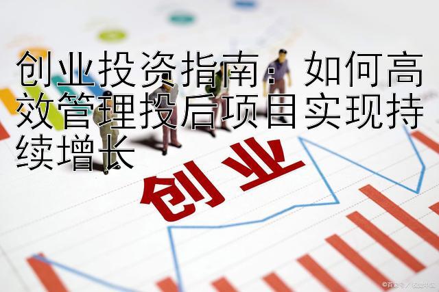 创业投资指南：如何高效管理投后项目实现持续增长